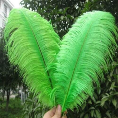 New Best-selling products 50 PCS green 55-60 cm/22-24 inches ostrich feathers Wedding Birthday Christmas Decorations