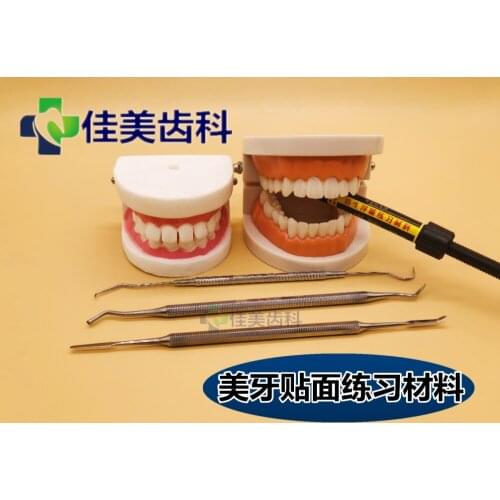 6d bionic embossed dental practice denture model practice tool dental teaching veneer supplies