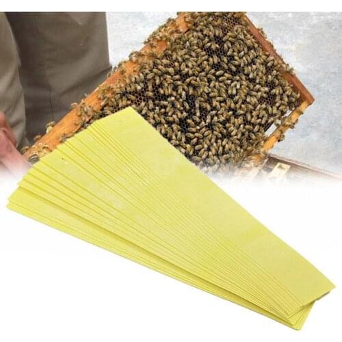 20pcs Beekeeping Fluvalinate Bee Mite Varroa Killer Strips Beekeeping Equipment for Bee