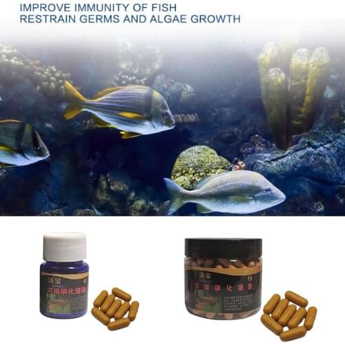 Aquarium Nitrifying Bacteria Super Concentrated Capsule Fish Tank Pond Cleaning Water Purifier Supplies