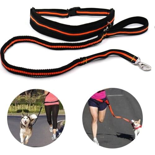 Украшения для животных DYKARO China At AliExpress