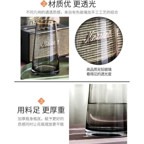 Light luxury vase decoration living room flower arrangement large transparent glass home decoration water culture Nordic gold de