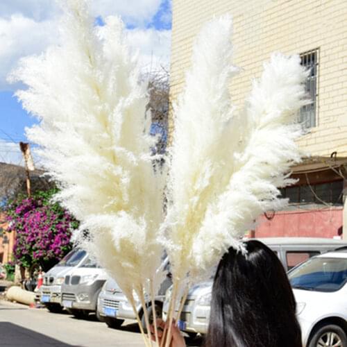 80CM Natural Pampas Grass Large Fluffy Big Dried Flowers Decor Artificial Flowers Bouquet for Wedding Home Bedroom Decoration