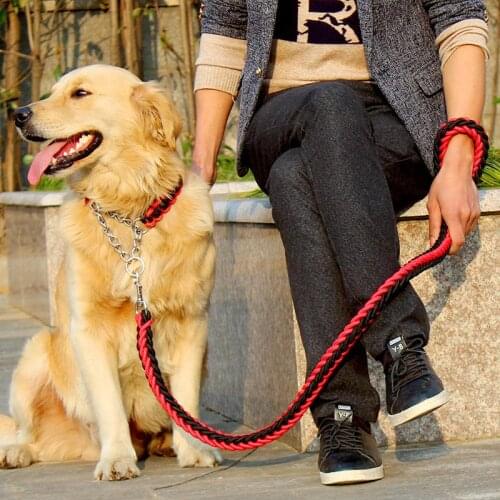 Dog collar big dog rope stereotyped rope P Chain pet hand holding rope leash traction belt Factory wholesale
