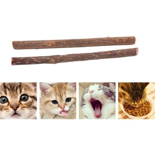 4@# Cleaning Teeth Natural Catnip Pet Cat Molar Toothpaste Stick Matatabi Actinidia Fruit Silvervine Cat Snacks Sticks Pet