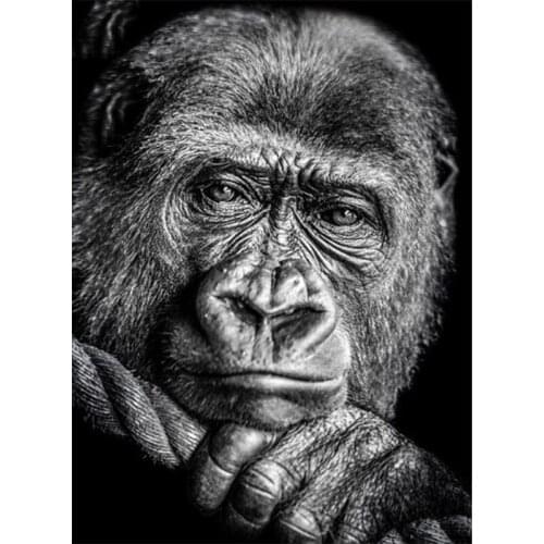 New Art Diamond Embroidery Animal Gorilla 2019 5d Diamond Painting Full Square Rhinestones Picture Diamond Mosaic Beadwork TY277