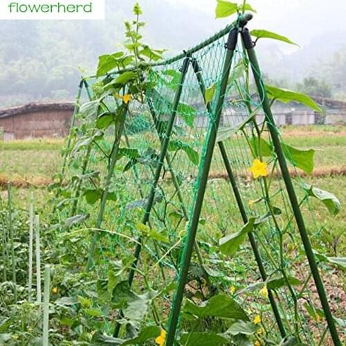 0.9x1.8m/1.8X1.8m/1.8x2.7m/1.8x3.6m Garden Net Vine Plant Climbing Net Nylon Net for Home Garden Use