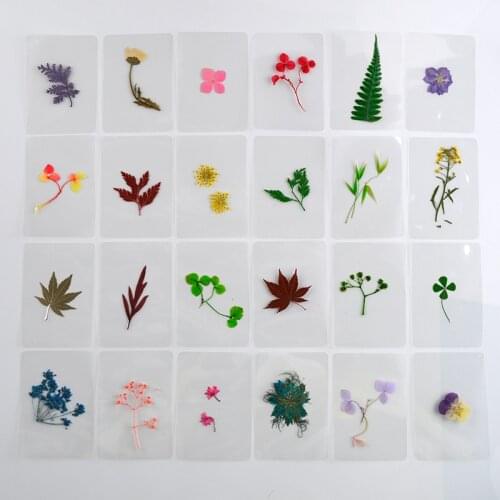 Flower Invitation bookmark Mix Pressed Flower Leaves Plant Specimen Fillers for Epoxy Resin Jewelry Making
