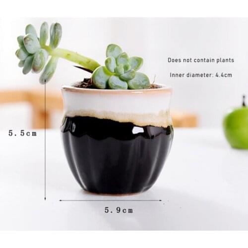 Mini Plant Pot Ceramic Succulent Plant Flower Pot Variable Flow for Home Room Office without Plant