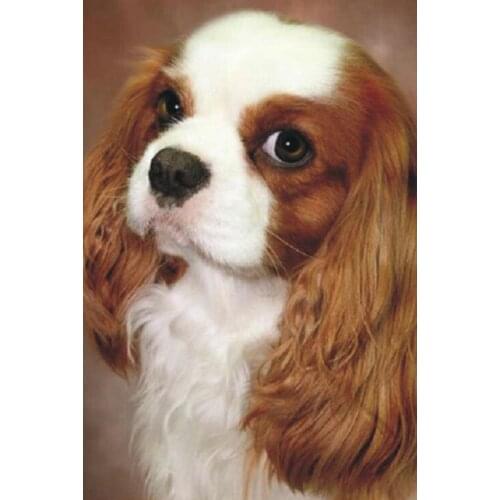 New Diamond mosaic full diamond embroidery beads Dog Puppy Animal diamonds cross stitch painting Inlay handwork