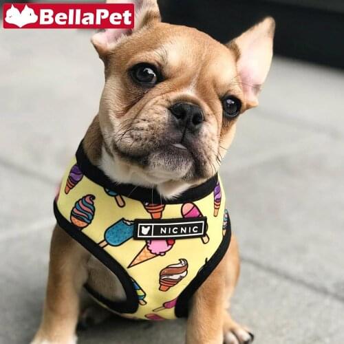 Cute Dog Harness No Pull Dogs Harness and Leash Set Small Dog Harness Vest Pet Product Dog Accessories Chihuahua Pug