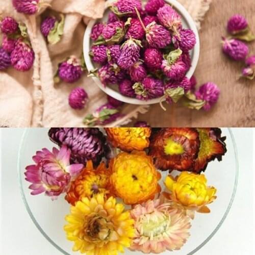 Dried flowers combination Purple Gomphrena globosa buds + Colorful Chrysanthemum Flower Head for home DIY decoration party