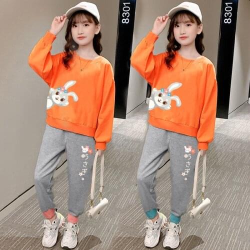 Children Clothing Spring Autumn Girls Clothes Set Rabbit Long Sleeve Shirts + Pants Suits Cartoon Baby Kids Clothes