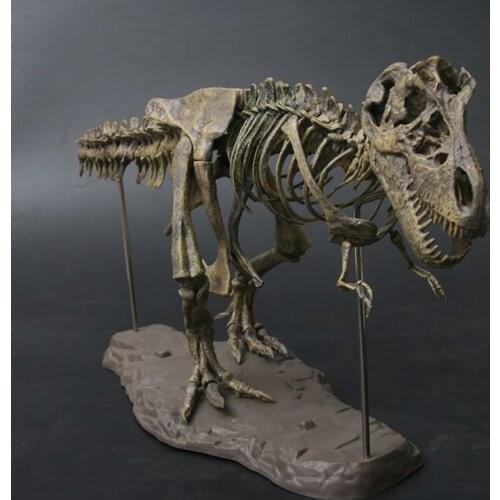 T Rex Tyrannosaurus Rex Skeleton Dinosaur Toy Animal Model Collector Super Decor Tyrannosaurus Rex Skeleton