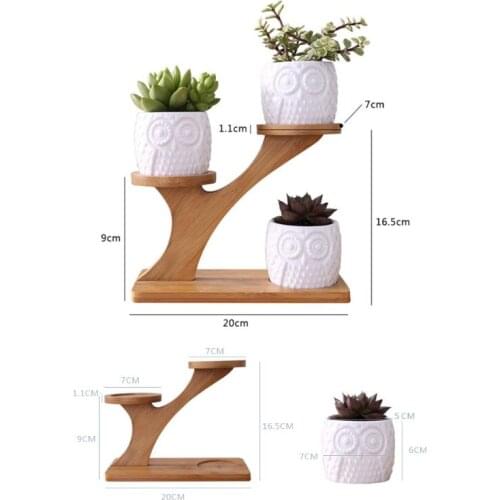 Cute Owl Pot Succulent Cactus Planter Flowerpot Set With Bamboo Shelf Tray Decor