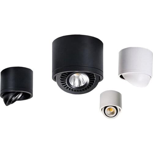 Surface Mounted Downlight Dimmable Ceiling Lamp 85-265V 5W 7W 9W 15W, 360 Degree Rotating COB Downlight Nordic Lighting