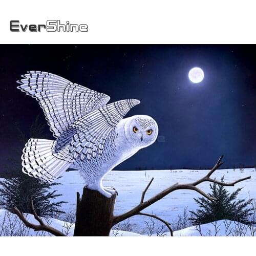 EverShine Diamond Embroidery Full Display Picture Rhinestones Diamond Mosaic Animals Owl Cross Stitch Handmade Beadwork Gift