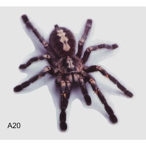 Simulation Animals Sticker 3D Car Sticker Exterior Accessories Bumper Retrofit Stickers Car Styling Spider Lizard Scorpions