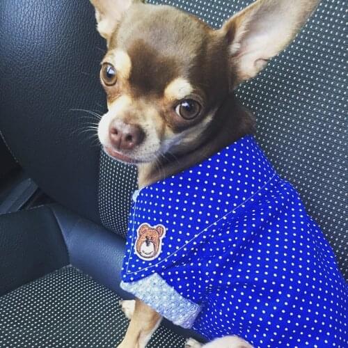 NICOVAER Sweaters For Dogs