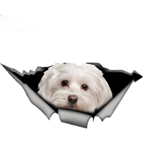 Personality Cute Dog Car-Sticker Automobiles Motorcycles Window Bumper Laptop Vinyl Decal PVC Decorative Goods Apply To Car Door