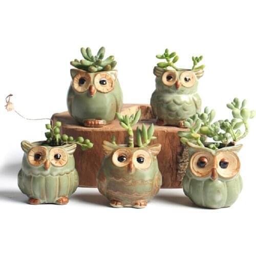 1pcs Cartoon Owl Shaped Succulent Plant Ceramic Flowerpot Home Decoration Plants Flower Pot Random Styles