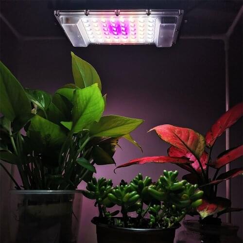 Lightall LED Plant Lamps