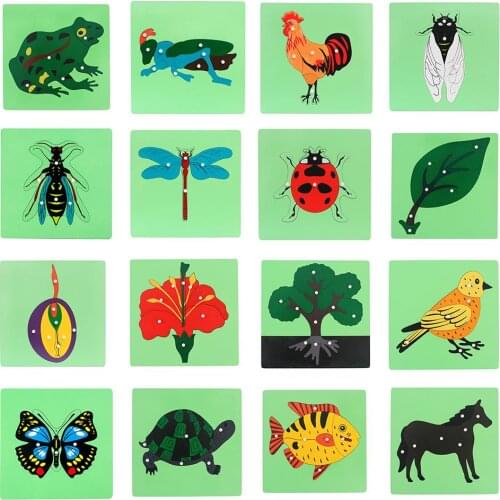 Flower Insect Puzzle Wooden Panel Jigsaw Children Education Toy Teaching Aids New