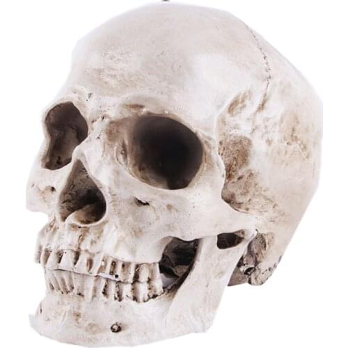 1:1 Skeleton Skull Model Sculpture Ornaments Pattern Skull Resin Crafts Teaching Home Bar Death Symbol Art Skeleton Decoration