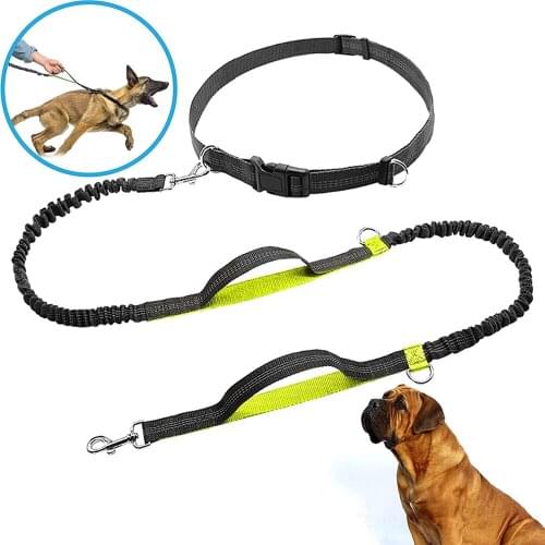 Hands Free Leash with Double Handles for Dogs Perfect for Training and Practicing Sport Reflective Double Grip Dogs Leash