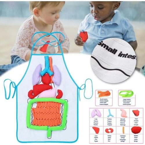 1pc Anatomy Apron Human Body Organs Educational Insights Apron Home Anatomy Organs For Children Teaching Body Toys Human Ai R4S8