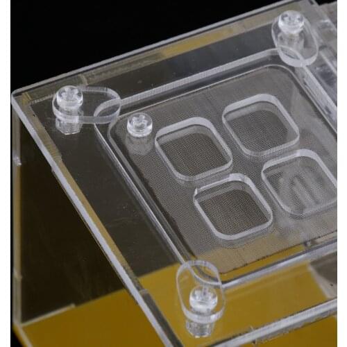 Acrylic Ant Nest Display Box Formicarium Moisturizing Water Tower Lair for Ant Feeding Science Educational