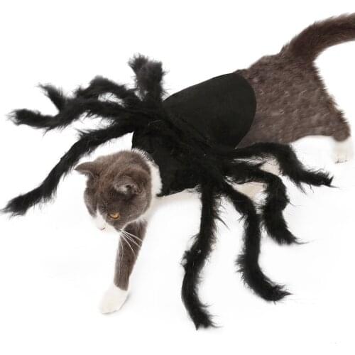 Cat costume Spider Wing Clothes for Puppies Cats Halloween Pet Cat Dog Costumes Cute Dress d91012