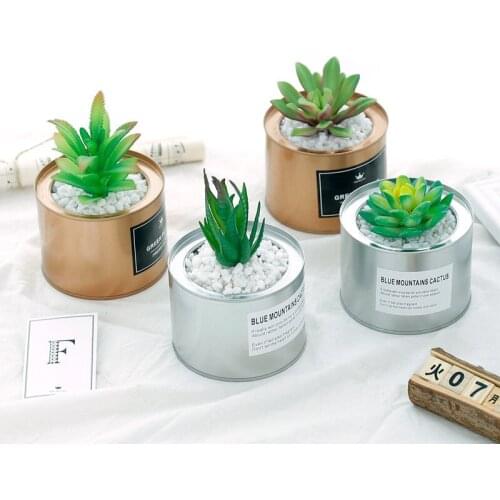 OLOEY Artificial Bonsai