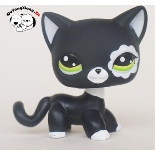 CWM002 Pet Shop Animal Black Cat doll action Figure kitten