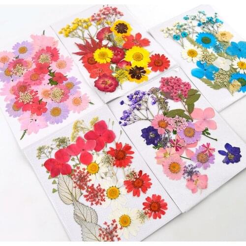 JF056 DIY Dried Flowers Natural Real Dry Plants For Resin Jewelry Making Craft Accessories Filling Beauty Nail Art Decoration