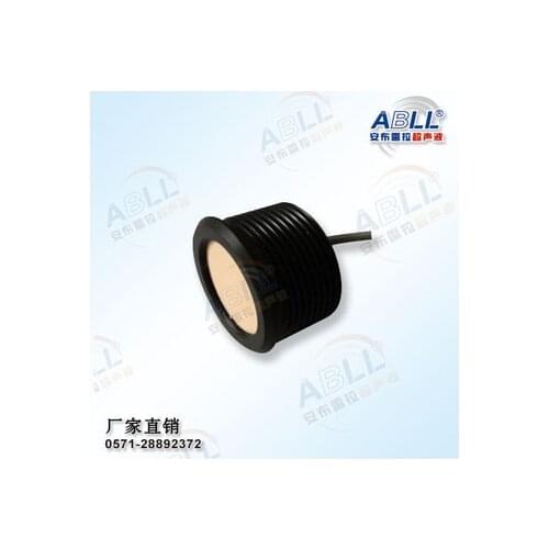 Customized Probe of Ultrasound Transducer Amblera DYA-105-03E Ultrasound Ranging Sensor