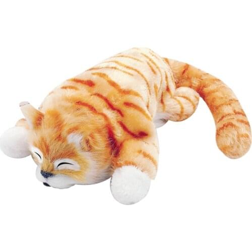 ZIRI Interactive Toys