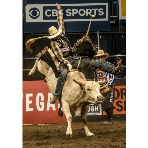 110 Home Decor Professional Bull Riders PBR 4-Silk Art Poster Wall Sicker Decoration Gift