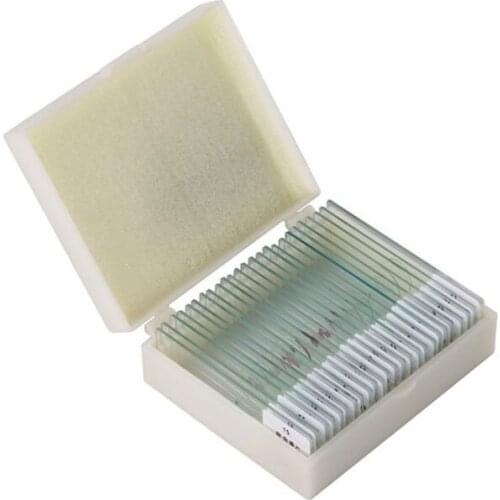 25pcs Professional Glass Prepared Microscope Slides for Kids School Laboratory Education