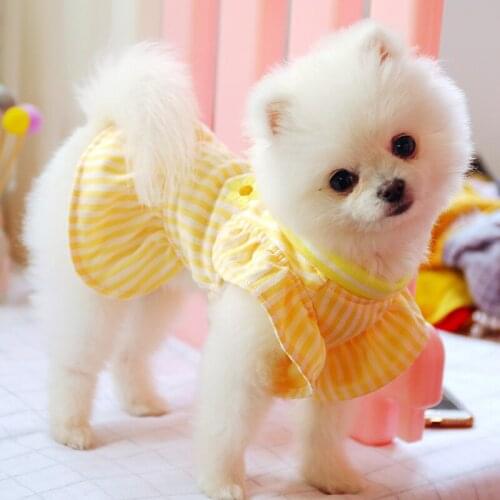 Spring Summer Pet Dog Clothes Puppy Clothing for Dog Skirt Apparel Yorkshire Poodle Bichon Pomeranian Schnauzer Princess Skirt