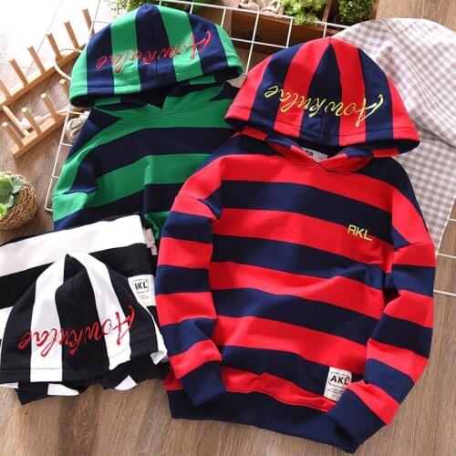 Pteromys Hoodies For Boys