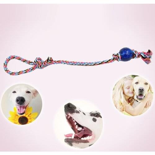 Random Color Pet Dog Rope Toy Dog Interactive Toy Knotted Convex Plastic Pet Chew Toy Dog Bite Toy Training Toys Legendog