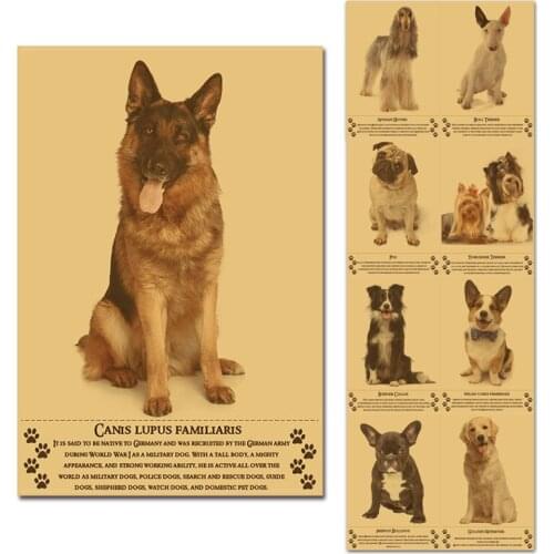 Cute Dog Breed Poster 30x45cm Retro Kraftpaper Style Wall Posters Friends of Mankind Home Decor Internet Cafe Bar Decoration Art