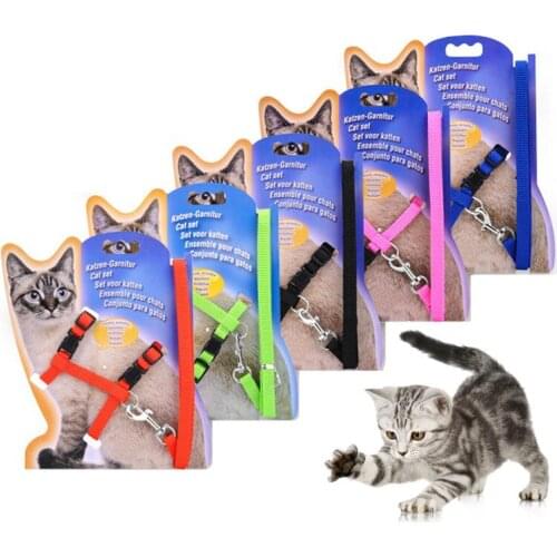 Nylon Flexible Pet Cat Harness Leash Set Pet Collar Walking Lead Chest Strap Adjustable Rope Belt Leash For Cat Small Dog