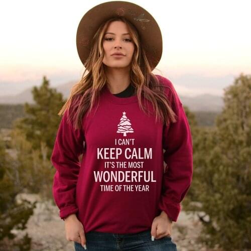 II CAN'T KEEP CALL ITS THE WONDERFUL Graphic Sweatshirt Funny Cotton Christmas Tree Grunge Gift Hoodies Tumblr art Pullover