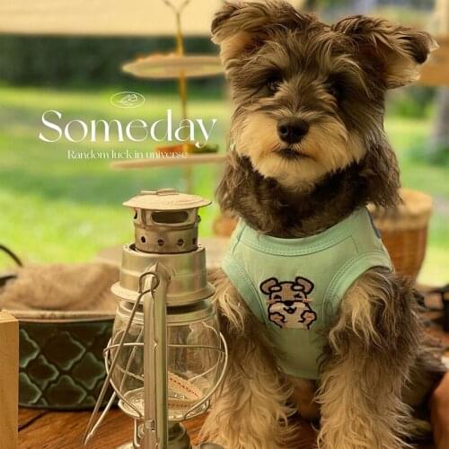 Dog Clothes for Small Dogs Dog Clothes Dog Accessories for Small Dogs Luxury Halloween Dog Shirt Summer Pet Clothes Wing