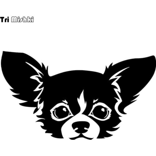 Tri Mishki HZX466 11.4*20cm Chihuahua sticker funny auto car stickers