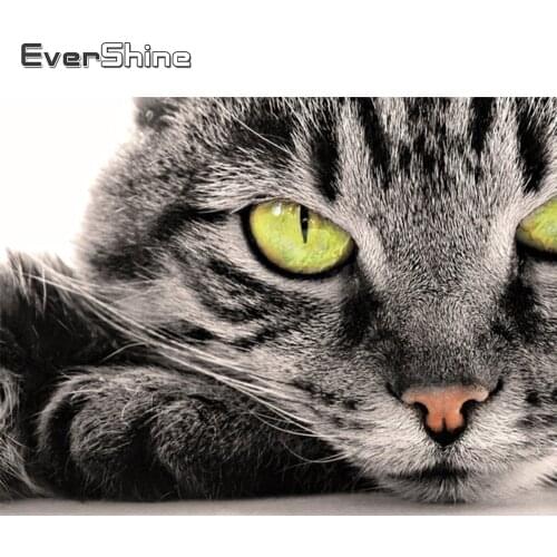 Evershine Full Square Round Diamond Painting Cat 5D DIY Diamond Embroidery Animal Cross Stitch Kit Needlework Handicrafts
