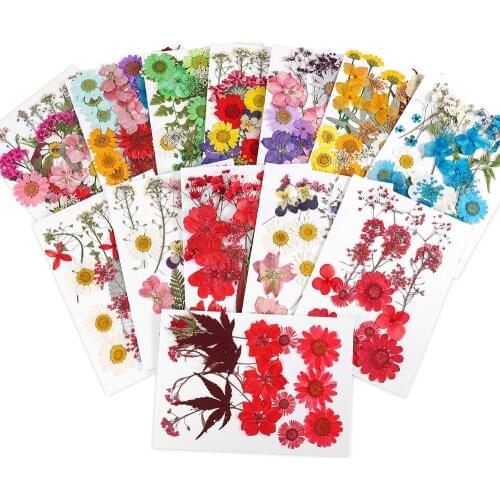 17 Styles Real Dried Flower Dry Plants For Candle Aromatherapy Epoxy Resin Fillings Silicone Mold Filler DIY Jewelry Making