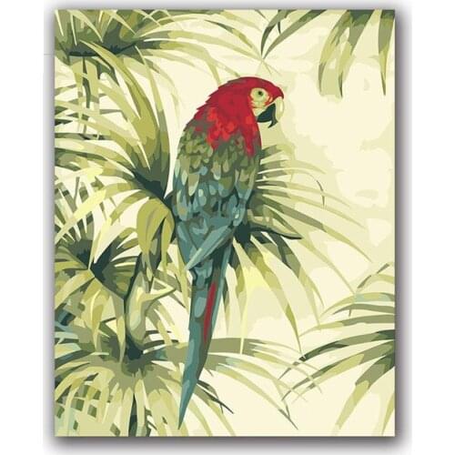 Paints by numbers Parrot with red head macaw picture painting coloring kits for adults wedding gift hoom decor